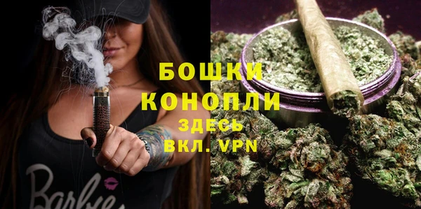 дживик Новозыбков