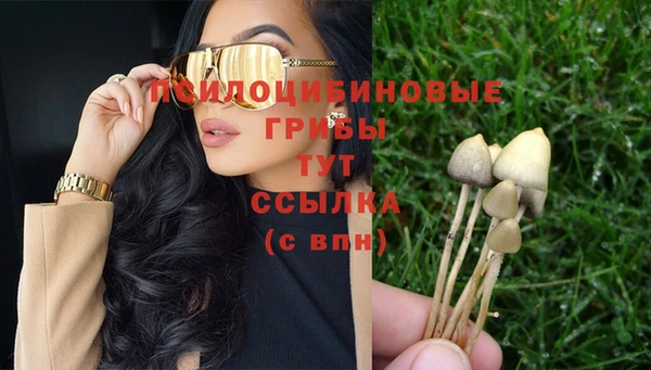 синтетический гашиш Гусь-Хрустальный