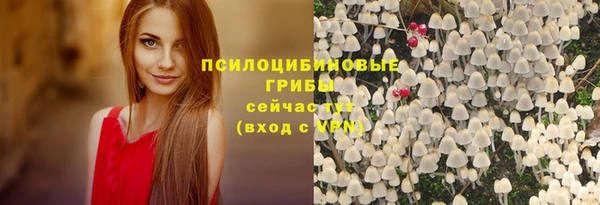 кокс Гусиноозёрск