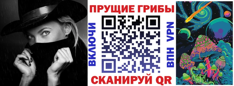 маркетплейс официальный сайт  Духовщина  Псилоцибиновые грибы MAGIC MUSHROOMS 